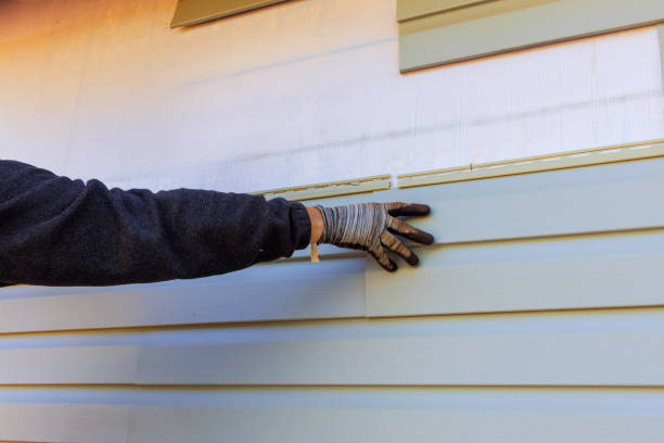 Affordable Siding Repair and Maintenance Services in Balm, FL